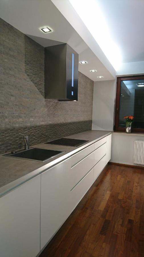 Quiet And Spacious Apartment With Garage Option Kraków Eksteriør billede